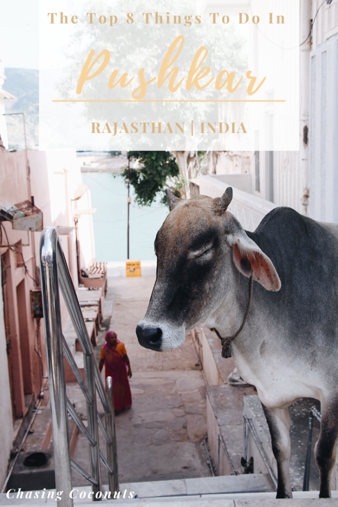 Things to do in pushkar