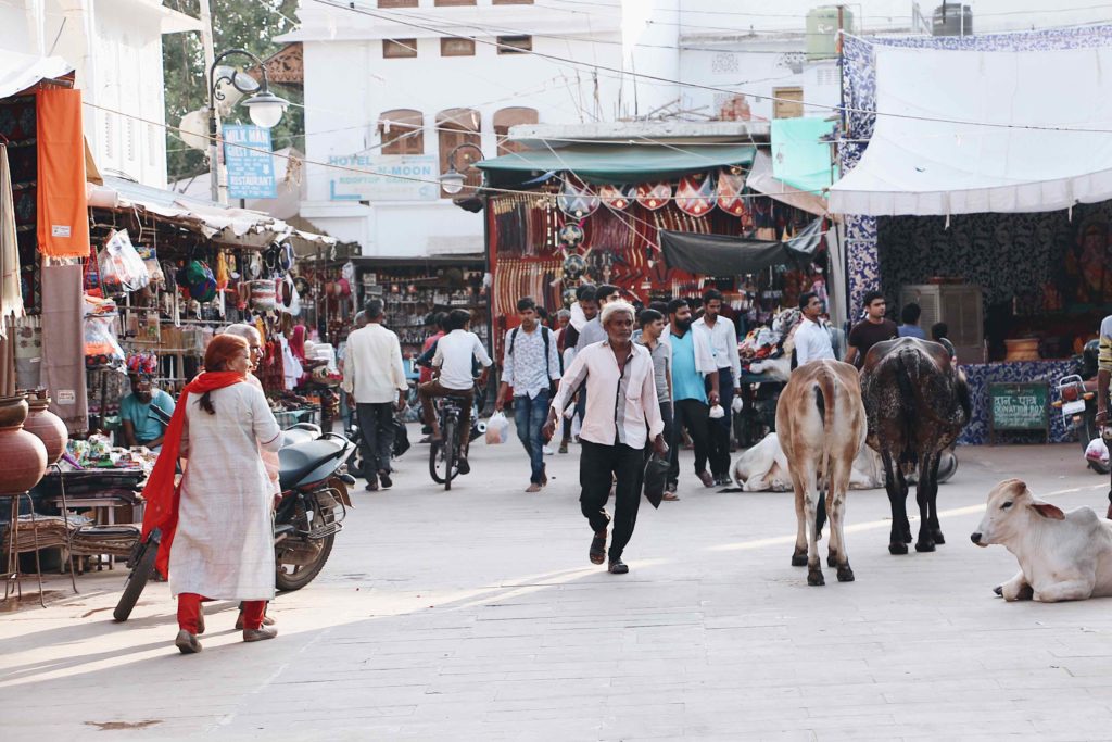 things to do in pushkar