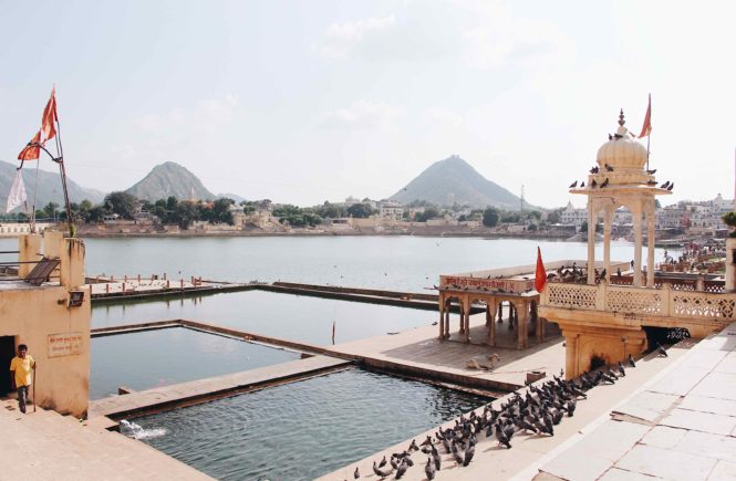 Things to do in pushkar