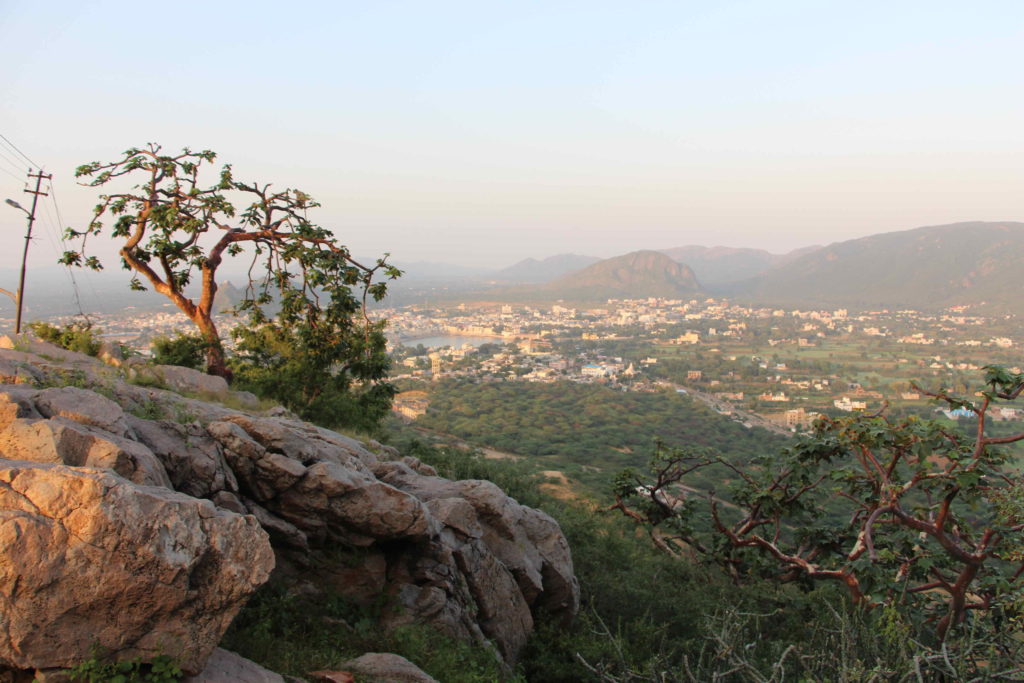 things to do in pushkar