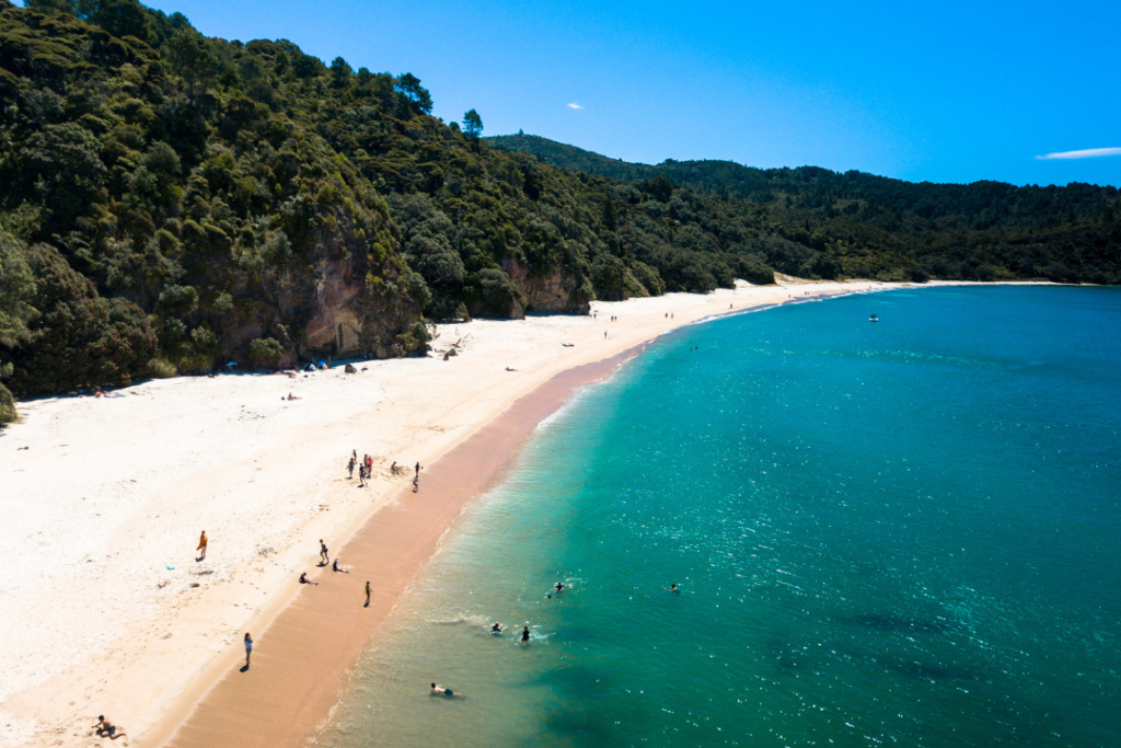 best beaches in new zealand