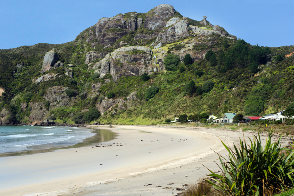 best beaches in new zealand