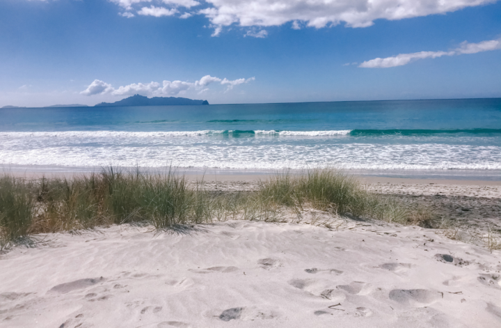 best beaches in new zealand