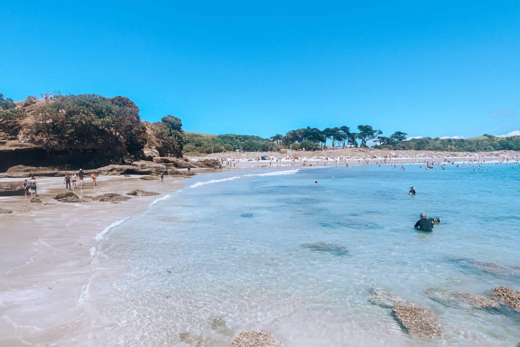 best beaches in new zealand